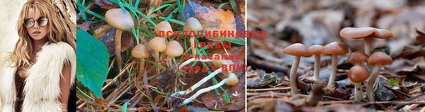 мдпв Медногорск